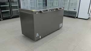 Réfrigérateur-congélateur vertical <span class=keywords><strong>convertible</strong></span> <span class=keywords><strong>avec</strong></span> système de refroidissement direct sans givre pour usage commercial - Product Image 4