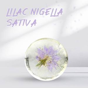 Nuovo Design naturale sbiancamento alleggerimento di base per la pulizia fatto a mano aminoacidi trasparente cartone fiori di sapone all'ingrosso - Product Image 4