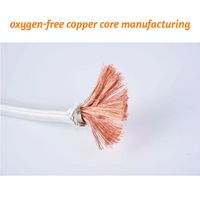 Câble chauffant électromagnétique gainé de nickel pur tressé en fibre de verre isolé au mica résistant au feu 500 degrés