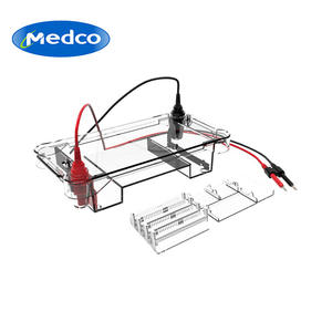 Appareil d'électrophorèse horizontale Biobase HET02 220V, équipement de laboratoire pour l'analyse d'ADN et de protéines - Product Image 5
