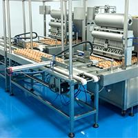 Inoculateur automatique d'œufs de poule 30000 pièces/h, machine de vaccination des œufs de poule GMP 304/316L pour la production de vaccins