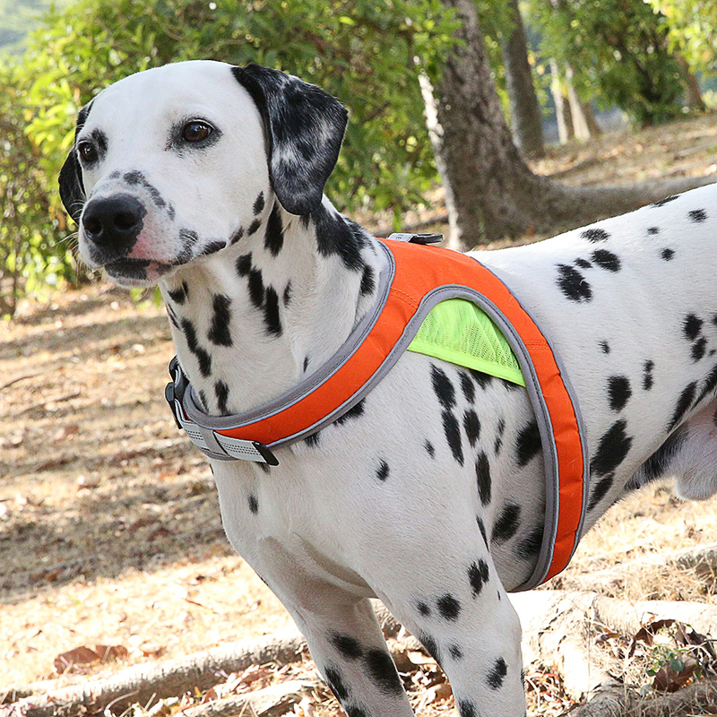 Customized Hot selling Pet Leash Set With Reflective Strips Comfortable Breathable Harness For Pet Dog