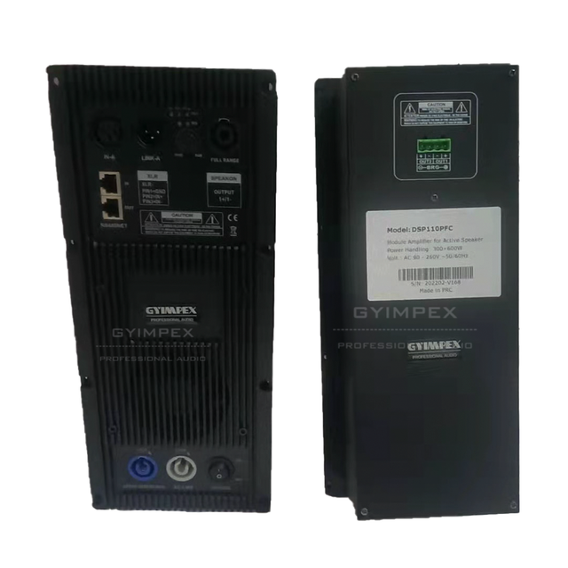 DSP 300w 500w 1000w 2000w Dual Channel Active Power CLASS D Speaker Box Amplifier Module Bored for Powered Line Array System