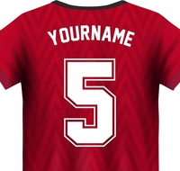 Transferts thermocollants personnalisés pour maillots de football – Impression offset couleur intégrale par transfert thermique