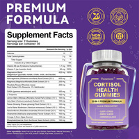 Private Label Suiker Vrij Vegan 20-in-1 Formule Cortisol Gezondheid Gummies Hormoonbalans en Ontspanning & Slaap Ondersteunende Supplement