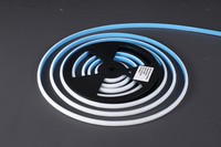 Tira de LED de Silicona de Neón en Forma de D de 7.513 mm, 12 V, IP67, Impermeable, Regulable, para Decoración del Hogar y Publicidad