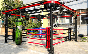 Gran oferta soporte de boxeo multifunción/anillo de boxeo multifunción/Equipo de Boxeo de gimnasio múltiple anillo de boxeo de elevación - Product Image 2
