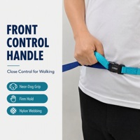 Laisse pour chien multifonction personnalisée, à porter à la main ou à la taille, avec poignée réglable, coussin élastique et mousqueton