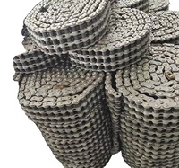 Chaîne à rouleaux double rangée 16A pour transmission de puissance, haute résistance à la traction, traitement thermique pour impression UV, pour la construction et l'agriculture