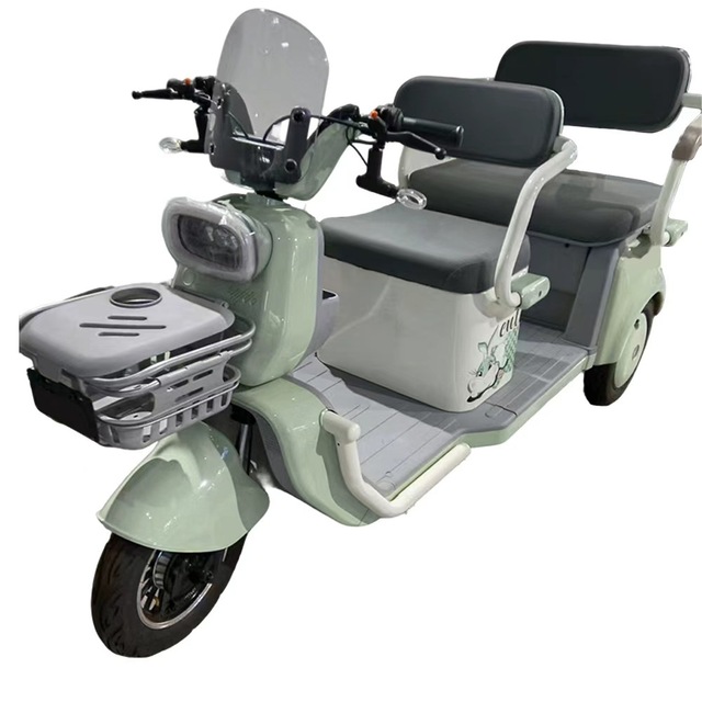 Hot-selling 3-Wheel Electric Tricycle Scooter with Spacious Seats Open Body 650W Motor 2-Passenger
