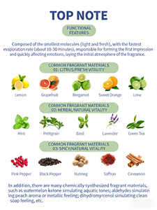 Stock UE USA, <span class=keywords><strong>parfum</strong></span> floral haut de gamme pour femmes, 100 ml, eau de Cologne en spray, longue durée, <span class=keywords><strong>parfum</strong></span> de marque célèbre, livraison en 3 à 6 jours - Product Image 2