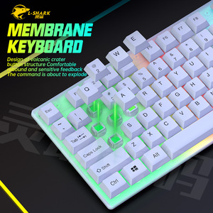 Juego de teclado y mouse para juegos con cable luminoso RGB Accesorios para computadora de escritorio y computadora portátil en stock - Product Image 2