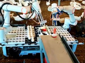Robot Cobot para Café, Jardín, Ramen, Pollo Frito - 1 kW 220V/110V 22kg - Product Image 5