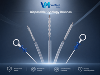 Brosse cytologique bilière à double lumière pour la collecte de cellules biliaires par ERCP, stérile à usage unique