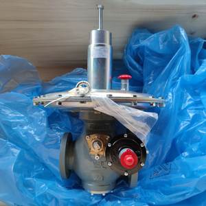 Regolatore di Pressione TARTARINI Serie FL, Valvole in Acciaio Inox ad Alta Precisione per Gas GPL, con Sistema di Controllo Pilotato - Product Image 3