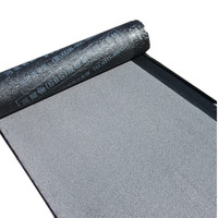 Membrane d'étanchéité bitumineuse modifiée SBS haute performance pour toitures en climat froid