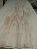 Feuilles de placage en bois flexibles de pin Radiata de Nouvelle-Zélande de coupe rotative de haute qualité