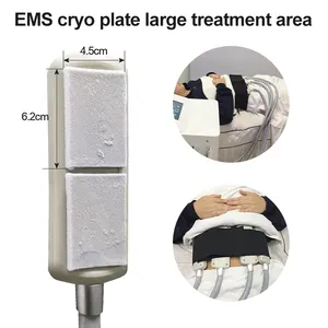 プロのcryolipolysisプレート美容ボディ痩身ポータブルプレートcryolipolysisマシン用サロン