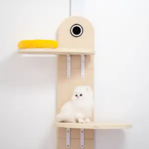 Servizio di personalizzazione fornito nuovo prodotto multistrato appeso alla porta Cat Climbing Frame Tree Post Smart Cat Climber