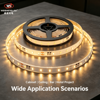 2835 SMD DC24V 64leds/m  4.8W/m Garansi 5 Tahun 5m IP20 Lampu Strip LED Fleksibel
