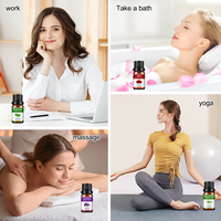 Ensemble d'huile essentielle de menthe poivrée pure coffret cadeau 100% Kit de diffuseur d'huile essentielle pure