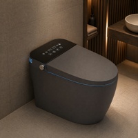 WC intelligent sans réservoir, finition mate, monobloc allongé, sans bride, chasse automatique, bidet, siège chauffant, massage, lavage, LED