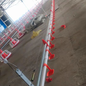 Tamaño personalizado 5-6 <span class=keywords><strong>Parrilla</strong></span> PP Plástico Pollo <span class=keywords><strong>Gallo</strong></span> Alimentador Pan Equipo de aves de corral para comederos de animales - Product Image 6