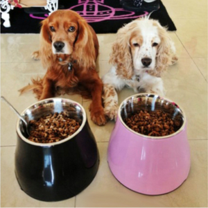 Bols pour chiens surélevés support en fer surélevé mangeoire pour chiens en gros bol pour chat surélevé 360ml, 560ml, 860ml - Product Image 2