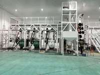 Automatische sojaboon- en eetbare olieraffinaderijmachine, 10 ton per dag, 100% zonnebloempitten en palmvruchtkernen, hoge productiviteit
