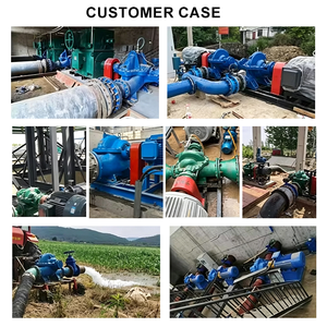 Horizontal Single Stage High Head Irrigation Industrial Water <b>Pump</b> Centrifugal Mid Center Double <b>Suction</b> Cast Iron Double Suctio - Product Image 4