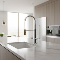 Robinet de cuisine moderne en laiton à poignée extractible, à monter sur plan, monotrou, avec cartouche céramique à ressort et double fonction pulvérisation – Meilleures ventes