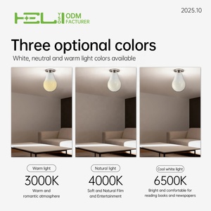 Bán buôn ấm trắng dẫn bóng đèn 15 Wát 1450lm 3000-10000K Tường Ngoài Trời Đèn với bóng đèn - Product Image 3