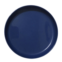 Ensemble de 8 assiettes en plastique de 8,5 pouces, réutilisables, incassables, non toxiques, compatibles micro-ondes, motif uni moderne, pour le camping et l'usage quotidien