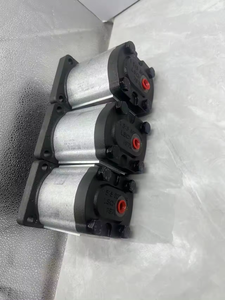ผู้ผลิตปั๊มเกียร์ไฮดรอลิก รุ่น GP1 <span class=keywords><strong>GP2</strong></span> GP3 ซีรีส์ GP3-0264 R97F/20N ปั๊มเกียร์ไฮดรอลิก - Product Image 3