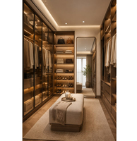 Conception personnalisée de dressing haut de gamme de couleur foncée, dressing moderne avec éclairage LED