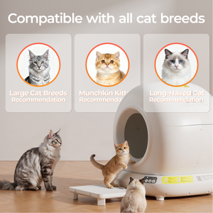 Caja de arena para gatos OEM de 78L, automática, autolimpiable, con control por aplicación Tuya, manos libres, silenciosa, tamaño pequeño - Product Image 2