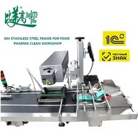 Machines de marquage laser avec unité de pagination entièrement automatique pour imprimer des dates sur les sacs d'emballage, vérifier les codes et éliminer les produits défectueux