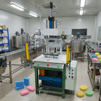 Prix de la machine à fabriquer du savon et du moule à embosser pour le marquage du savon de lessive