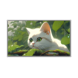 LP140WU2-SPB1 WUXGA Matte Surface 89° Wide View Angle 30pin eDP Laptop LCD Screen - Product Image 3