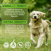 Gouttes Probiotiques Oimmal 30 ml – Compléments Santé Animaux – 300 Milliards d'Enzymes Digestives – Probiotiques pour Chiens