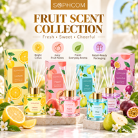 Usine en gros personnalisé Premium verre roseau diffuseur maison parfum désodorisant aromathérapie huile liquide diffuseur cadeau ensemble