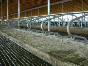 Divisorio per Box Bovini Zincato a Caldo, Separatore per Cubicoli, Attrezzatura per Allevamento di Bestiame - Product Image 3