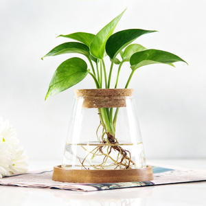 وعاء زجاجي صغير على شكل جبل للزراعة المائية مع غطاء خشبي وصينية للديكور الداخلي - Product Image 4