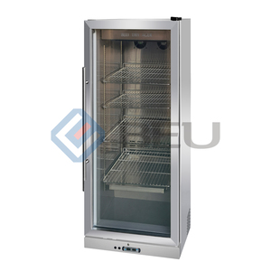 Beef Dry Aging Refrigerator Household Beef Display Fridge UV Light Dry Aged Meat Aging Refrigerator cabinet