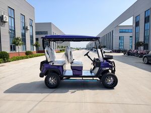 Parabrisas Plegable de Alta Calidad para Carrito de Golf, Aprobado para Venta al Por Mayor - Product Image 4