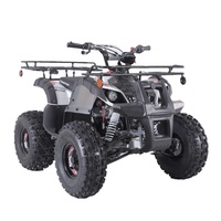 Quad Tao Motor Agricole Tout-Terrain à Chaîne à Vendre, 110cc, 125cc, 150cc, Démarrage Électrique Automatique