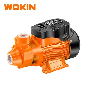 Оранжевый периферийный водяной насос WOKIN 790105 370 Вт 50 Гц 240 В