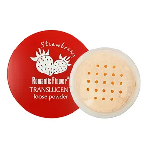 Nouveau design fond de teint maquillage poudre libre lisse et soyeuse translucide en stock