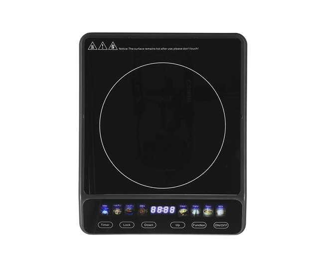 Induction Cooker