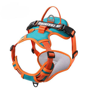 2025 gaya panas rompi reflektif gaya besar, sedang dan kecil memanfaatkan anjing bernapas Anti selip anjing Harness - Product Image 1